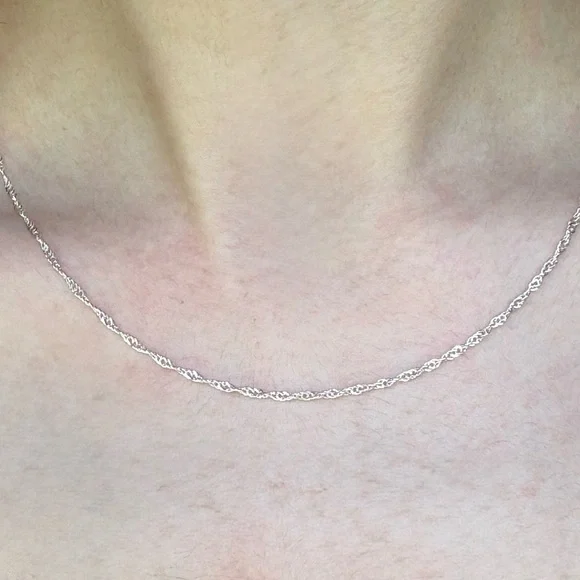 SILVER TONE Delicate Twisted Rope Necklace - Picture 1 of 5